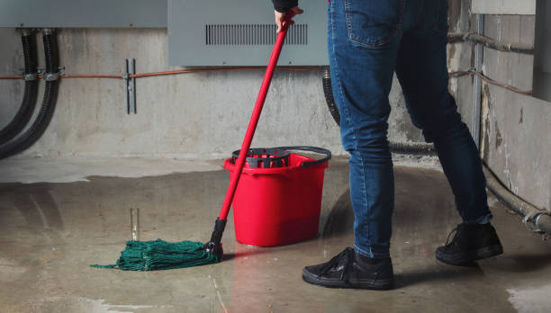 Best Water damage cleanup near me  in Wingate, NC
